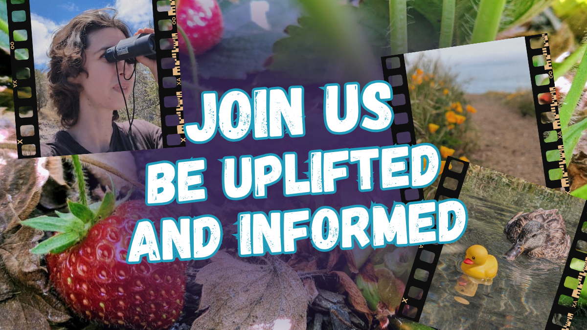 Join us to be uplifted and informed