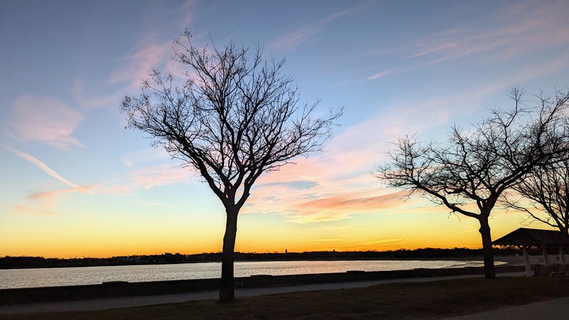 Silhouettes of trees in front of a sunset sky