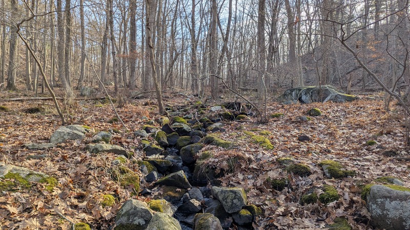 A stream through the woods in winter