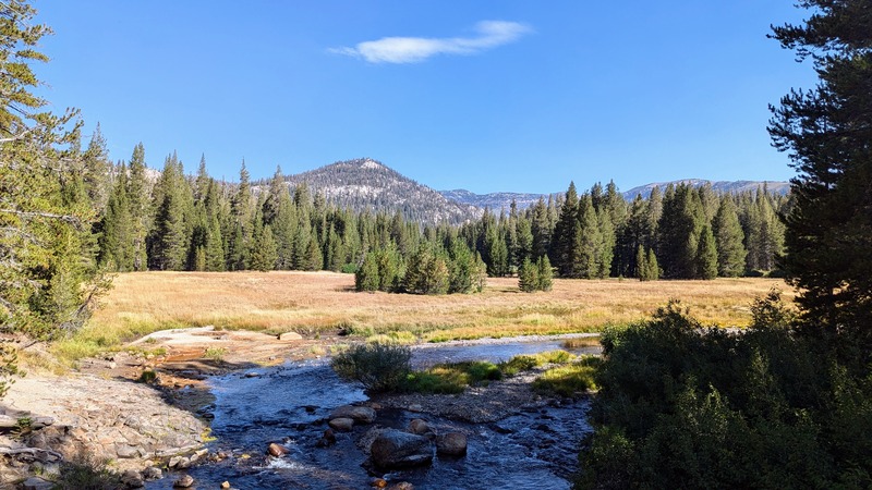 Blue sky, mountain, evergreen trees, meadow, and rocky stream