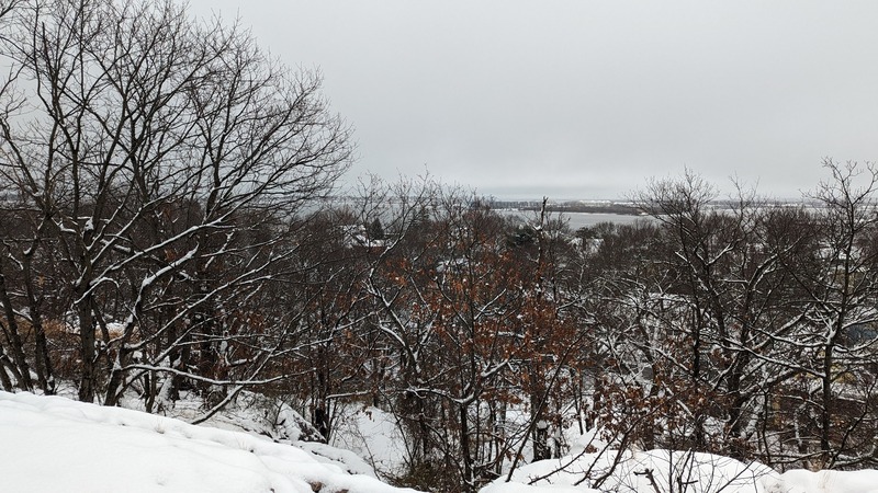 A grey, snowy day in the park with lots of trees with no leaves.