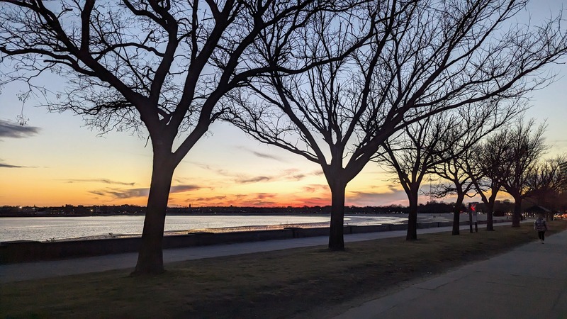 Trees silhouetted against a colorful sunset sky