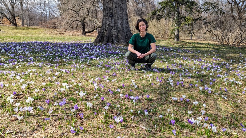 Rey sitting in a field of purple and white flowers, smiling