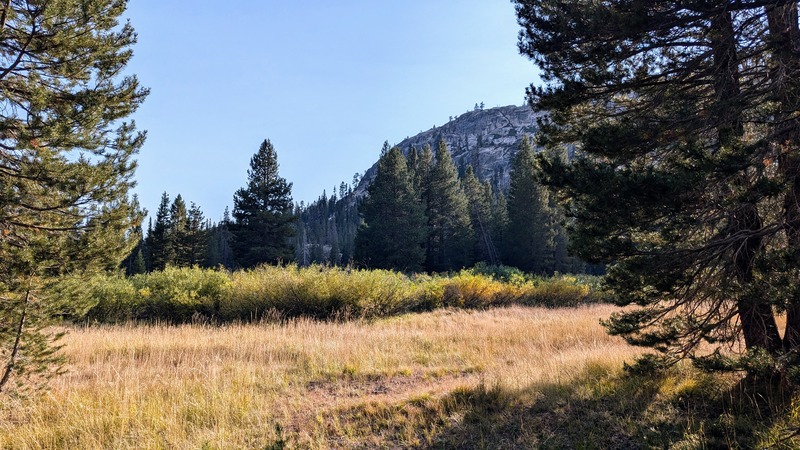 Mountain overlooking a meadow surrounded by evergreen trees