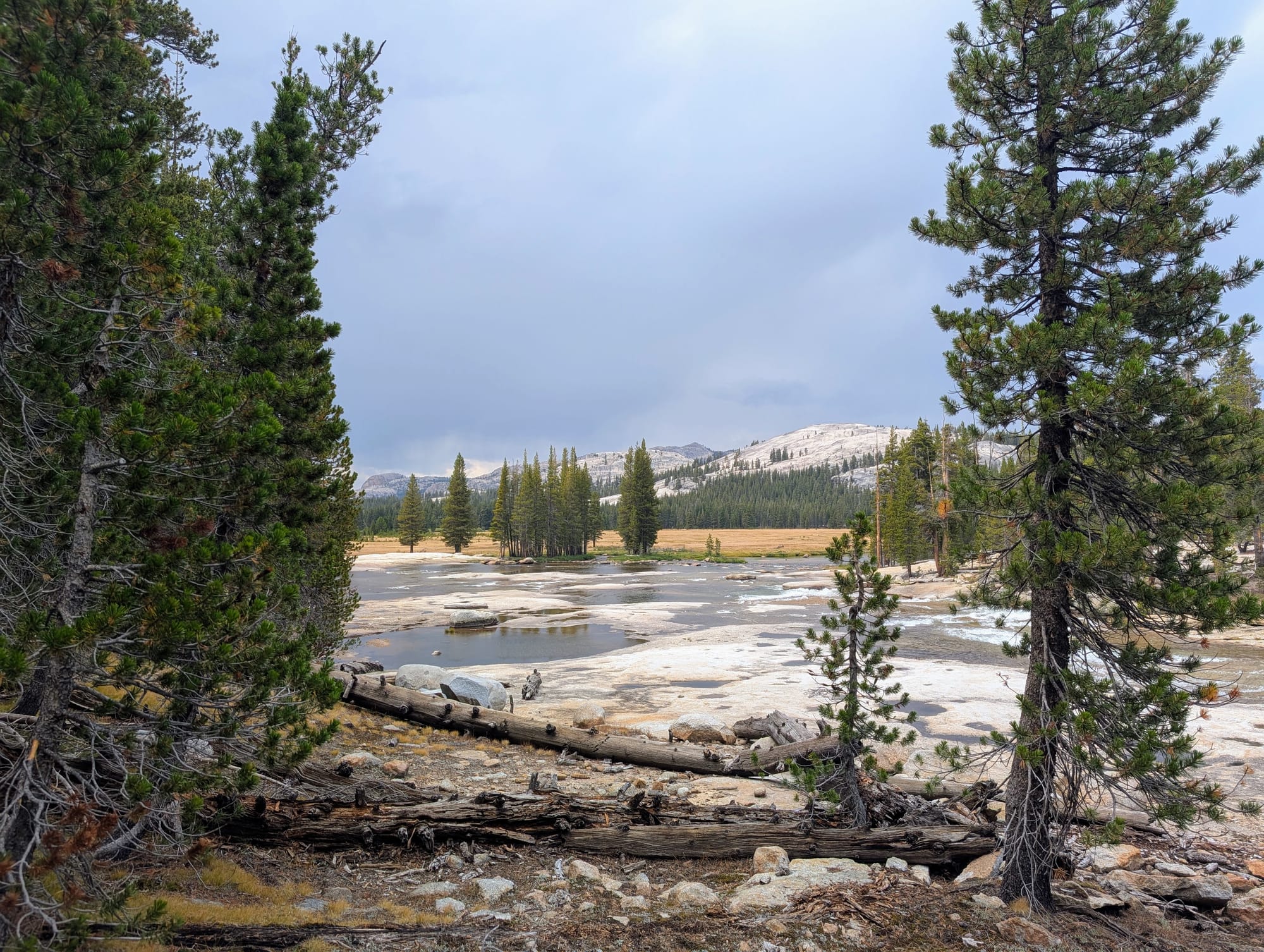 Pine trees in the foreground, water flowing over flat granite ground, and mountains and meadow in the background
