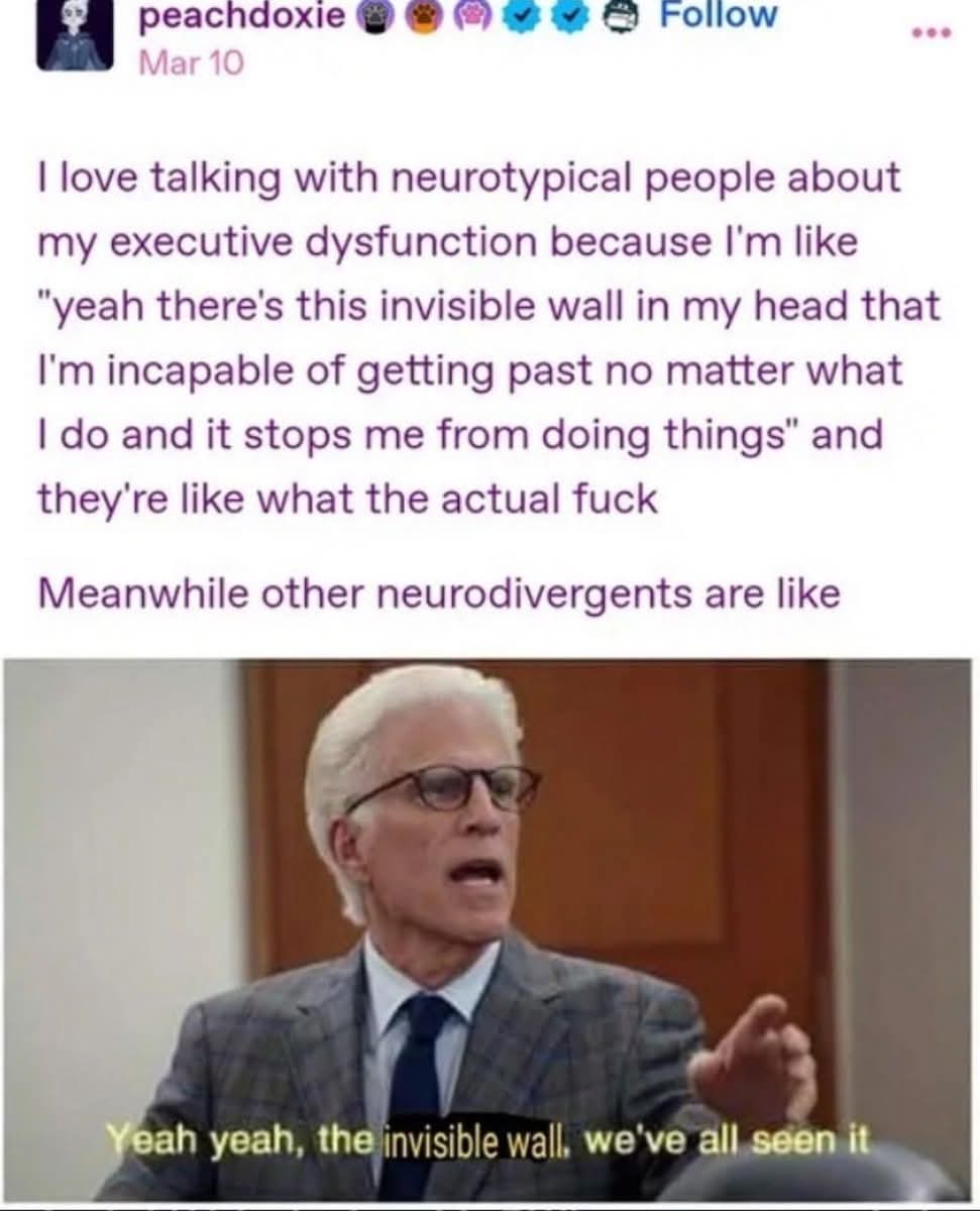 A meme that says "I love talking with neurotypical people about my executive dysfunction because I'm like 'yeah there's this invisible wall in my head that I'm incapable of getting past no matter what I do and it stops me from doing things' and they're like what the actual fuck Meanwhile other neurodivergents are like" with a photo of a character from The Good Place saying "Yeah yeah, the invisible wall, we've all seen it"