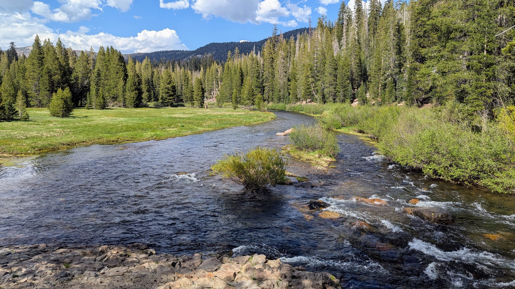 A photo of a shallow, wide river running between a meadow and an evergreen forest with hills in the background