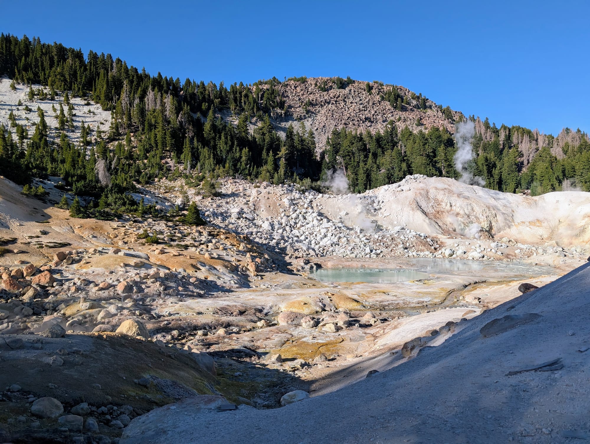 Steam rises from the ground in a rocky geothermal area with various colors, with evergreen trees and hills in the background