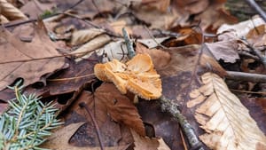 Gender isn't just for young people