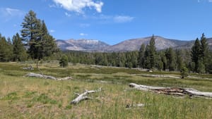 Why it's scary to be trans in the US right now