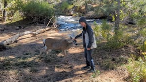 Us creatures gather at the hot springs