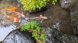 🌈 Everyone has hormones (yes, even you)