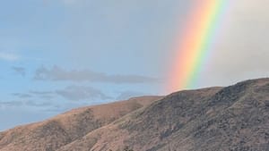 How can your great content stand out for Pride Month?