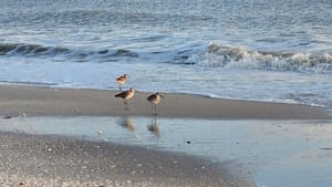 Why did I come back to martial arts practice?