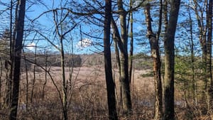 Yes, you can still say "women."