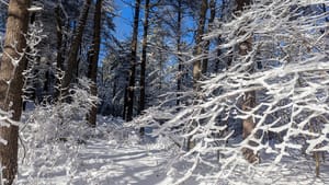 🌈 Living LGBTQ+ inclusion in my small biz