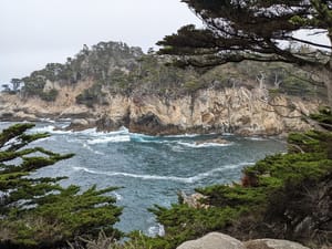 Are Singular They Pronouns Confusing?