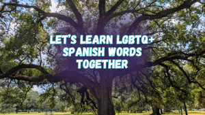 Let's learn LGBTQ+ Spanish words together, with a photo of a huge old oak tree