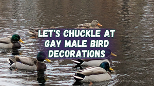 Let's chuckle at gay male bird decorations (with several mallard ducks on a pond)
