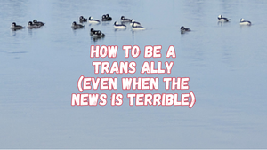 How to be a trans ally (even when the news is terrible)