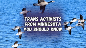 Trans activists from Minnesota you should know, with a photo of geese flying over water