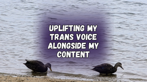 Uplifting my trans voice alongside my content